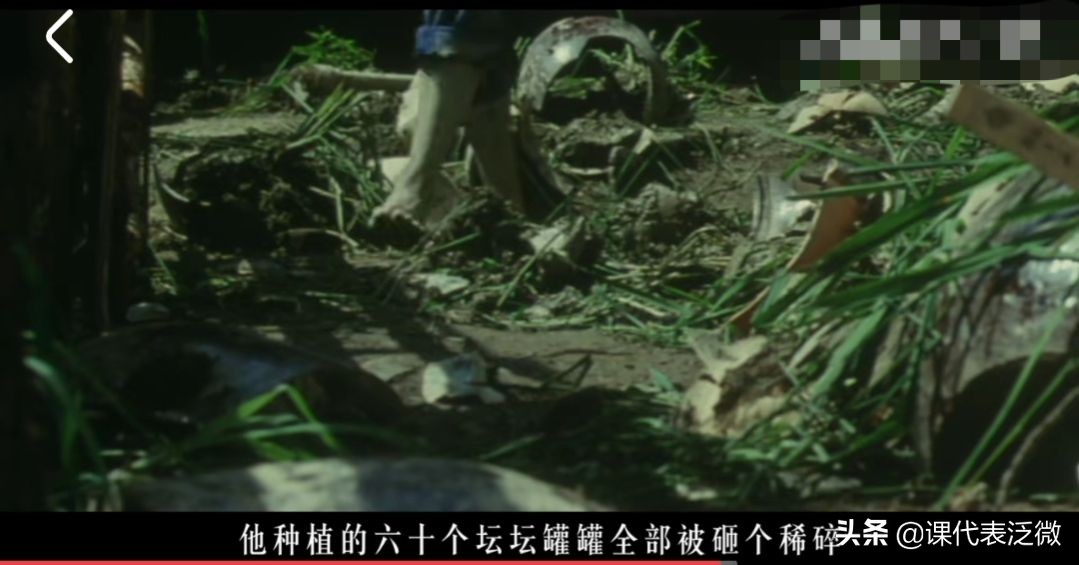 你不知道的袁隆平：浪里白条、预备飞行员、油炸鬼、臭水沟捞宝贝