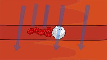 排油丸「奥利司他」让你瘦成闪电？真相没那么简单