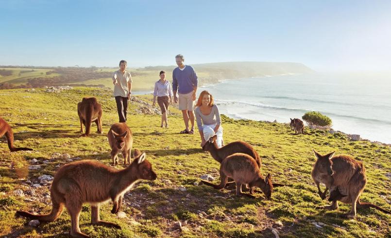 移民澳大利亚的华人真实感受,越出国越爱国