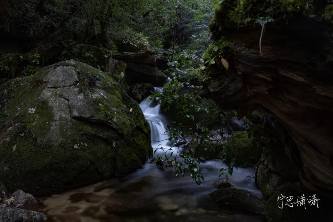 佳能全画幅微单是什么卡口,佳能rf卡口镜头今年还会出吗