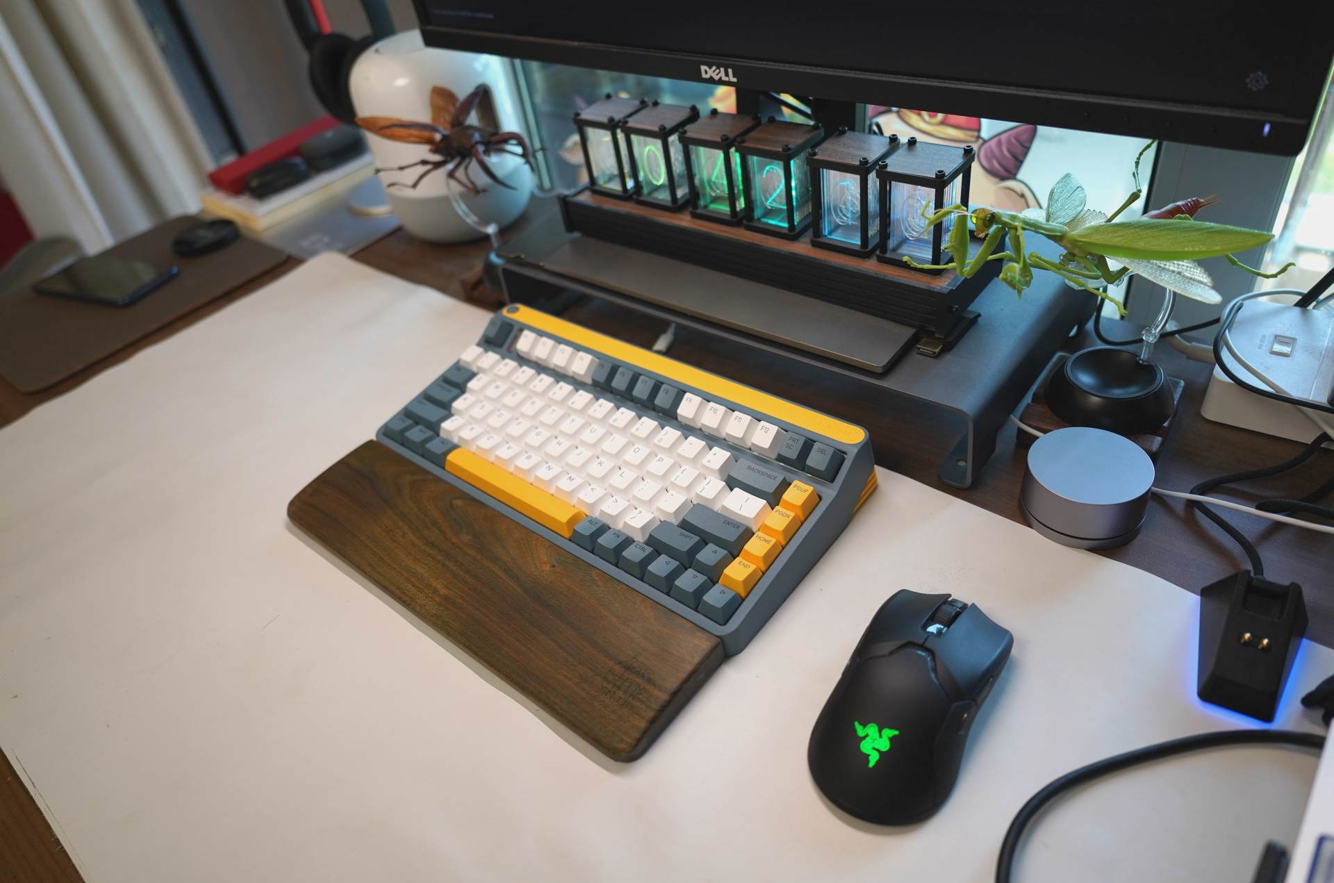 z涓栦唬鍏ヨ亴,z涓栦唬鍏ヨ亴娲诲姩