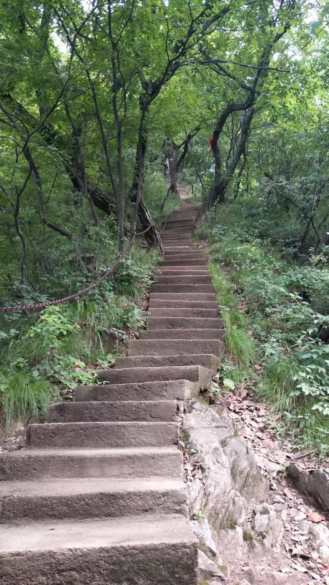 洛阳周边竟藏了个“北国小江南”！山水俱佳，堪称世外仙境