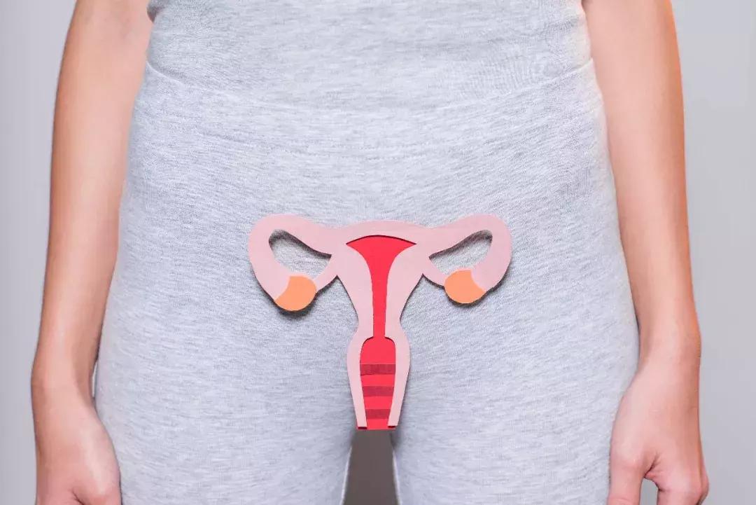 母亲移植子宫给22岁女儿,重金高风险求子值得吗?