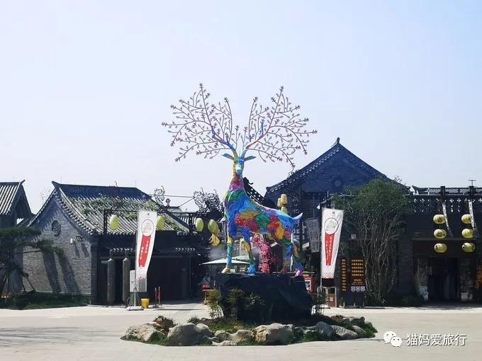 齐河附近带孩子自驾游景点,周边亲子游齐河