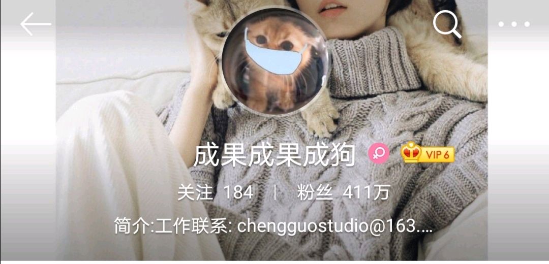 诸葛大力来源,诸葛大力实力怎么样