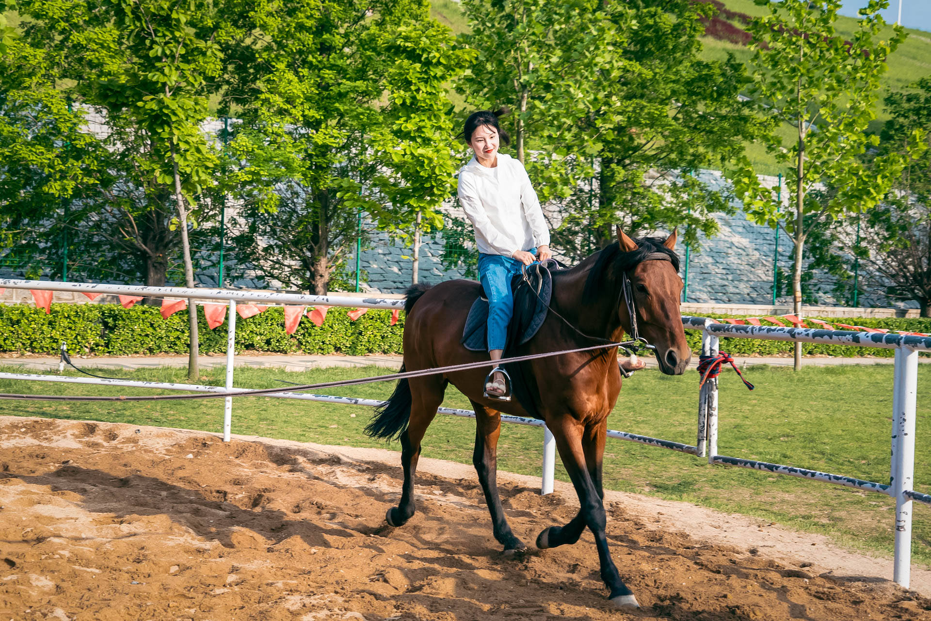 龙口锡青铜大坐佛,龙口全国第一大铜佛