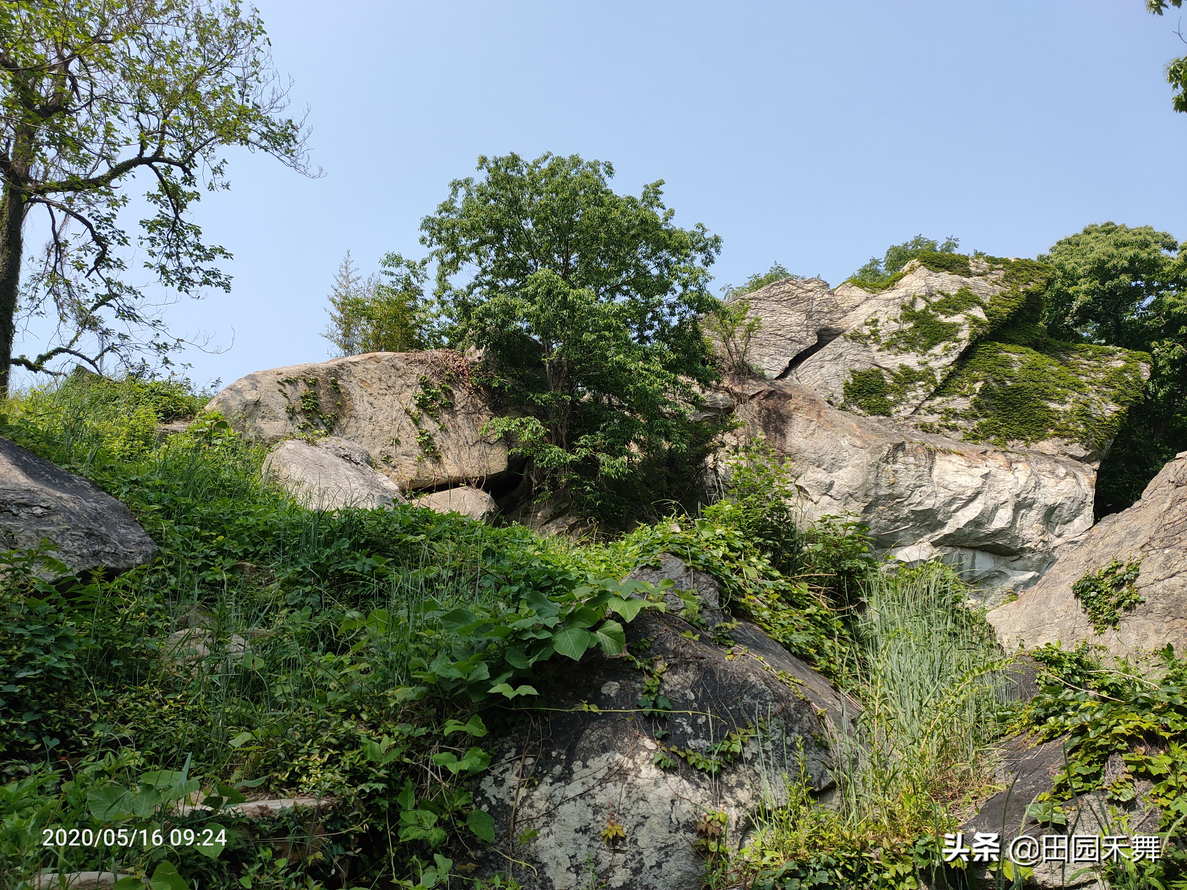 连云港新浦不再是区了，但有些记忆，已深深印在脑海中