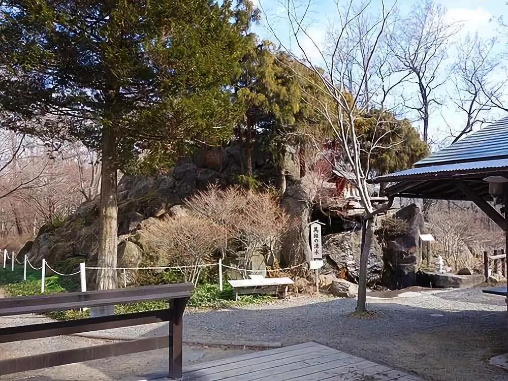 25亩荒地居然年游客竟然超过100万