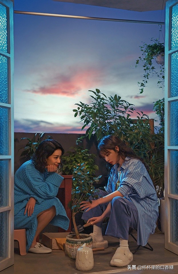 2021最佳原创剧本TOP10！《当家主母》《双镜》上榜，冠军高达8.2