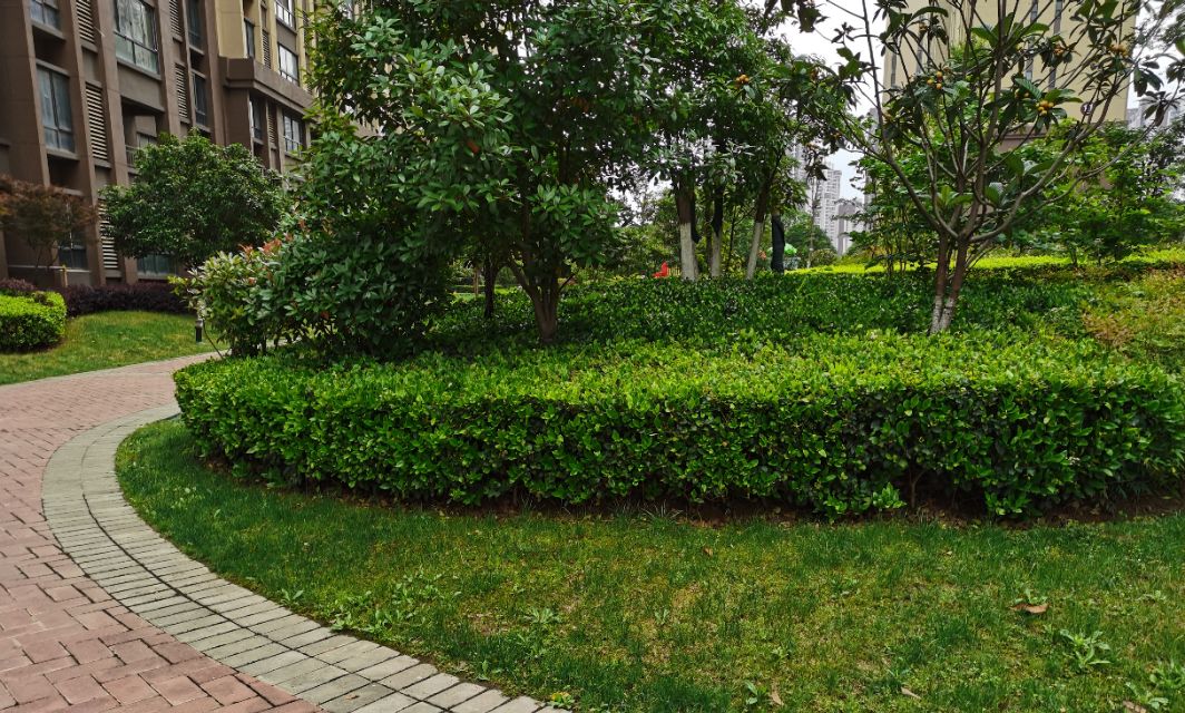 云一诗词荐读ll王惠玲的诗