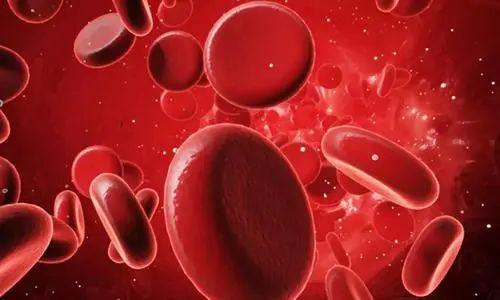 广东南天司法鉴定所,广东南天司法鉴定所鉴定准确吗