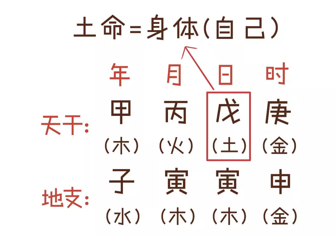 三分钟学会简单的算命,三分钟学会算卦