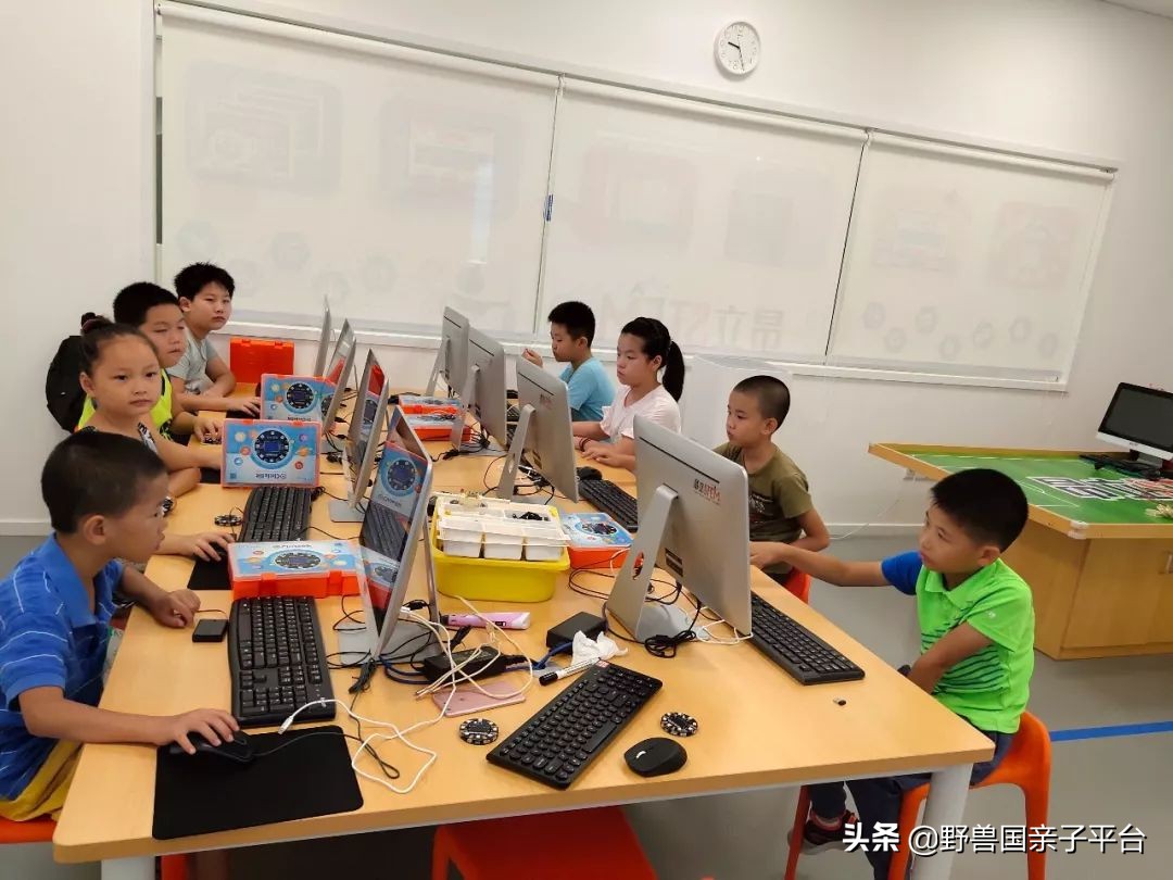 stem教育创始人,stem美国大学