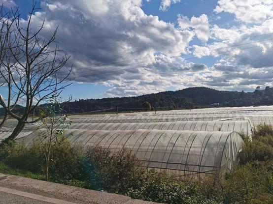 鬼哥的五万里D86丽江和大理哪个是你的菜（祥云县-南华县）