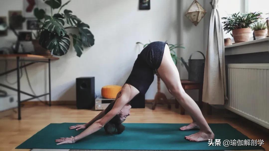 最简单的瑜伽动作初学者,最简单的瑜伽动作刚入门