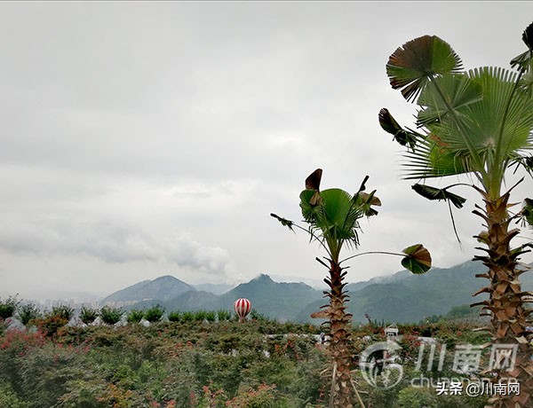 桐梓马鬃红苗风情旅游景区图片,桐梓红庙景区有什么好玩的