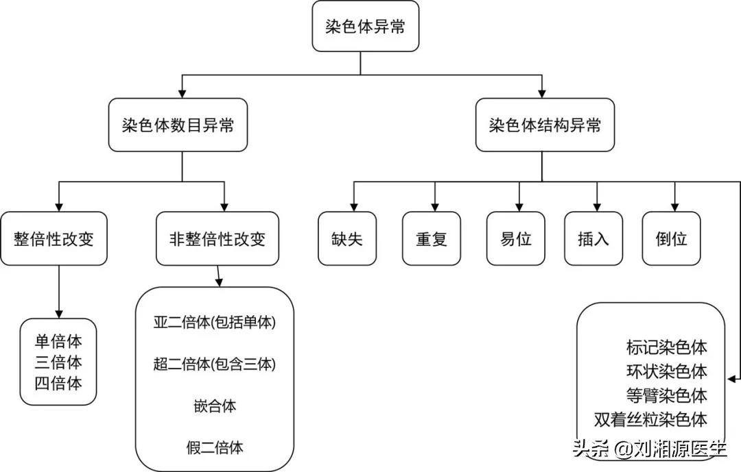 「免疫相关不良妊娠答疑解惑49」——遗传因素检查