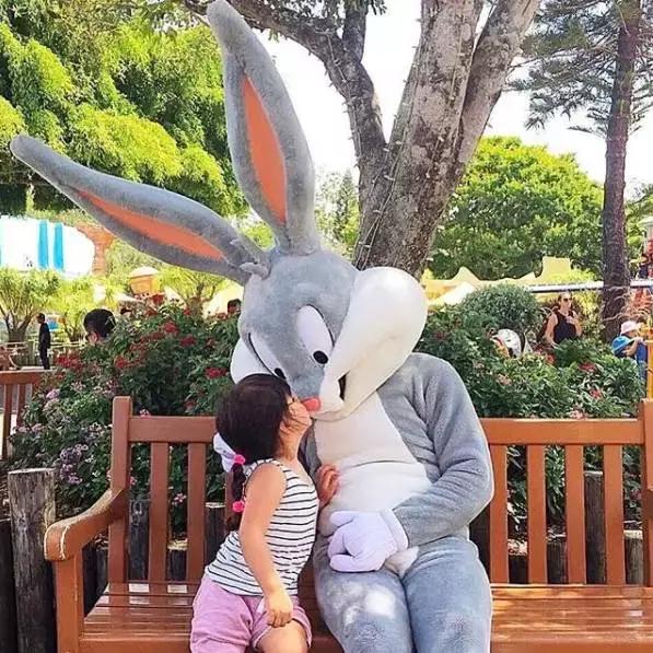 去澳大利亚需要学会什么技能,第一次出国去澳大利亚怎么玩