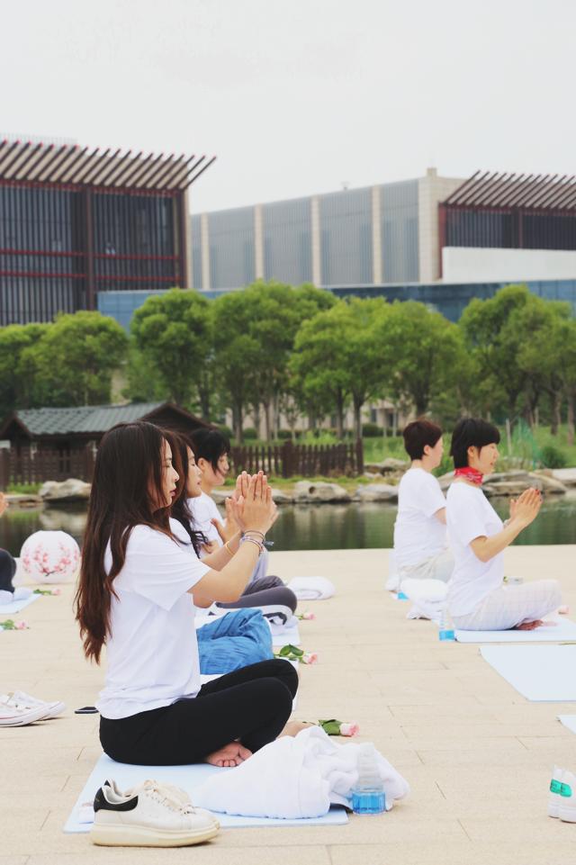 东阿阿胶桃花姬,回归本源找到初心