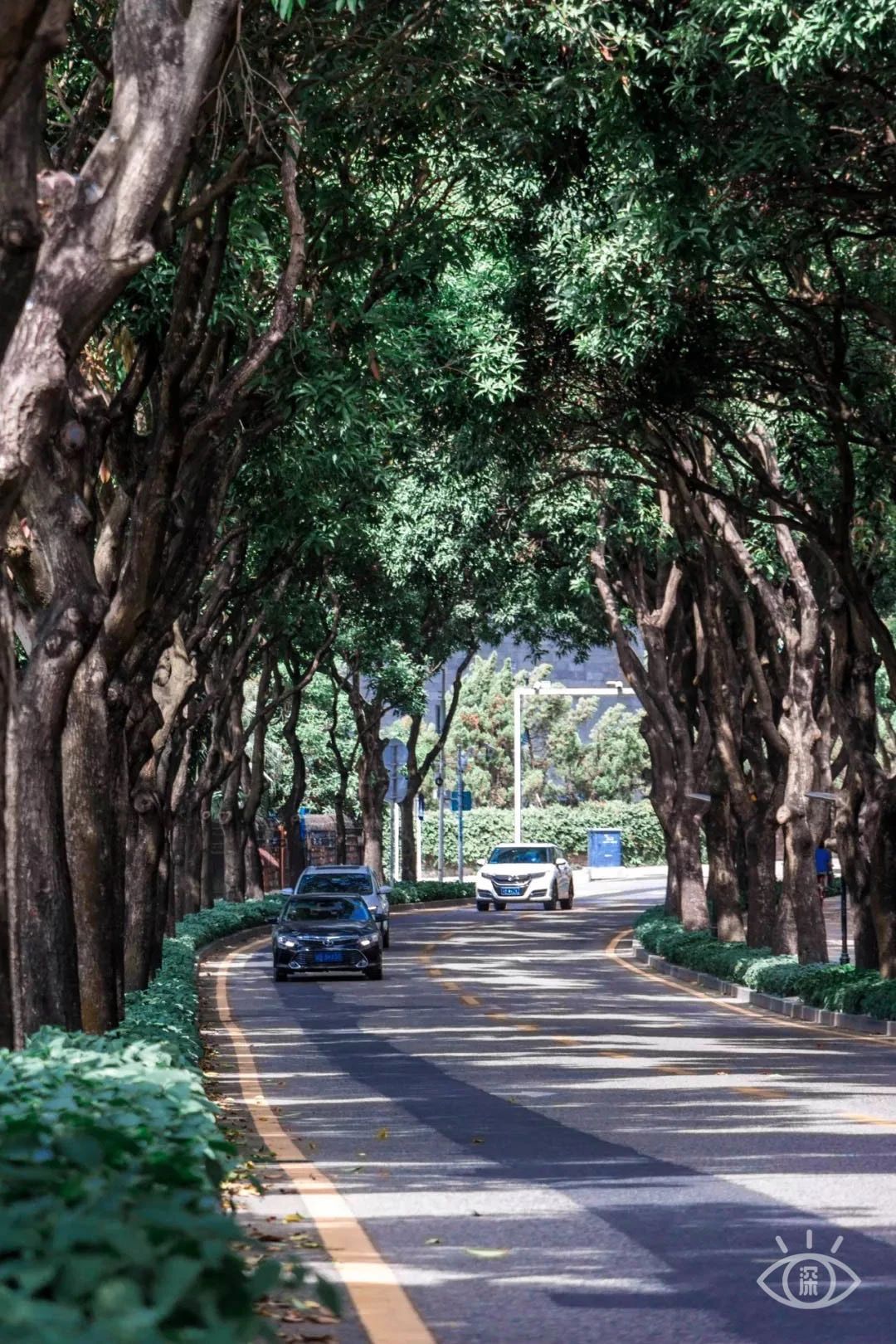 最美湖泊小众风景,最美湖泊西湖