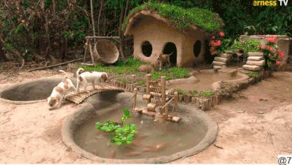 花三年建宠物乐园,花20万给狗打造乐园