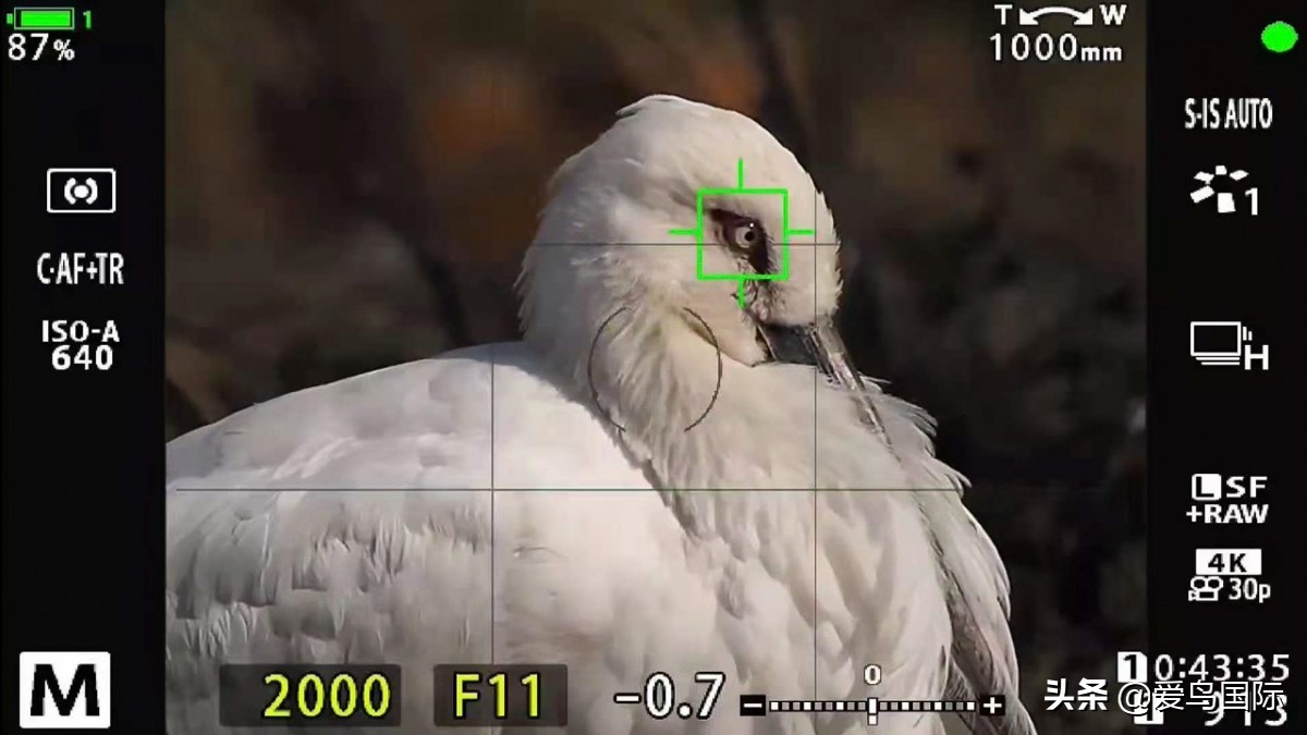 奥林巴斯单反全系列相机,奥林巴斯三千相机推荐