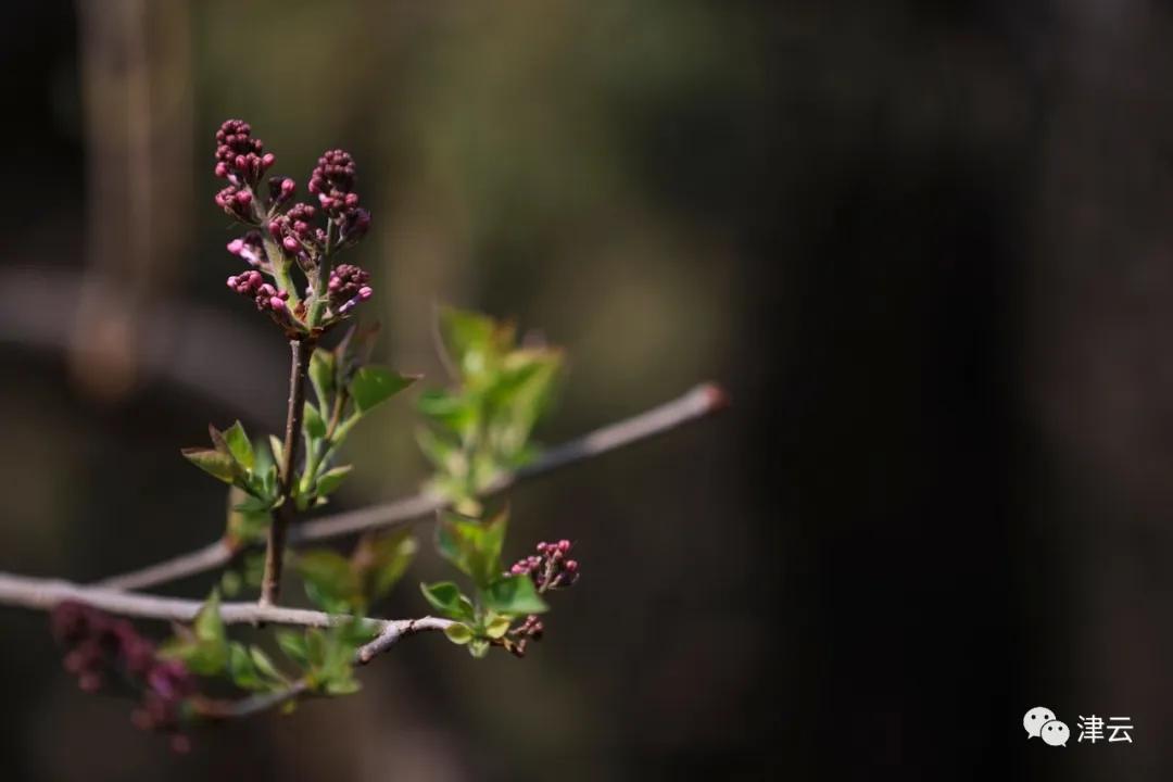 天津东疆亲海公园2022年开放吗,天津2022哪些公园恢复开放