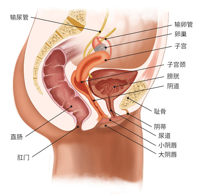 这些沙雕生活小妙招你学废了吗,这些奇葩的养生方法你敢试吗