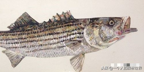 閫忚澶栨寕鐪熷疄浜嬩欢,閫忚澶栨寕鐪熺殑鍋囩殑