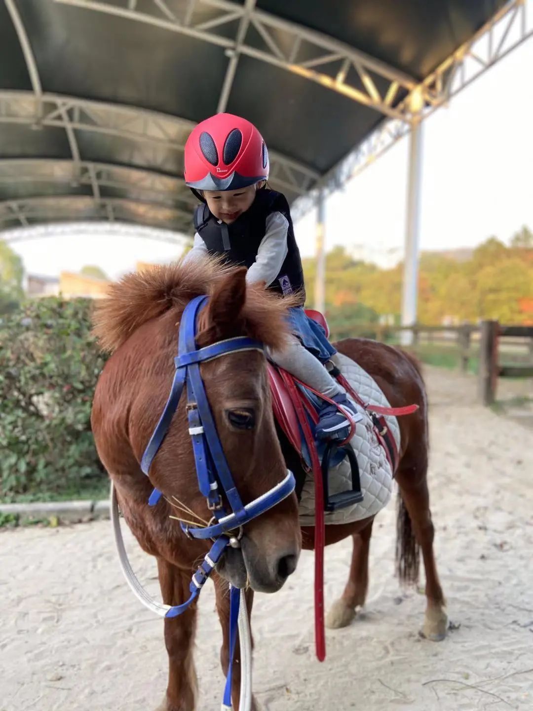 烧麦的工作日常,烧麦需要注意的事项