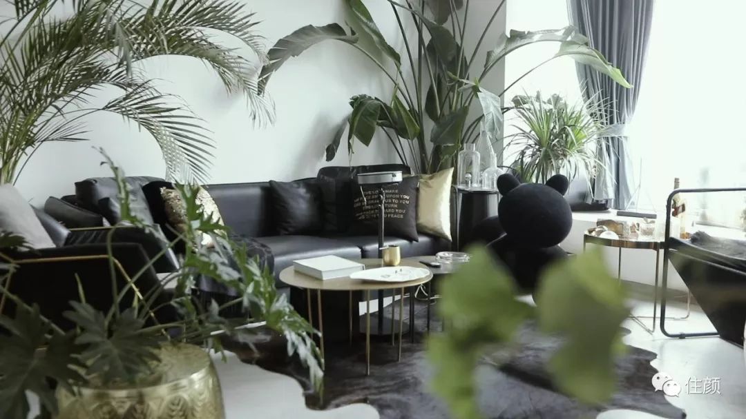 网购家具和实体店家具有什么区别,同样是网店为什么旗舰店的贵