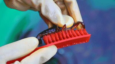 武汉头牌虾庄,武汉虾庄折扣