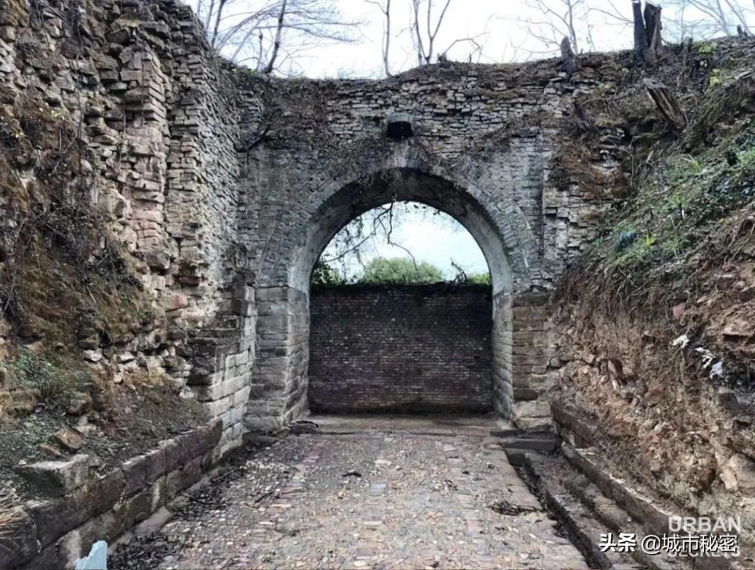 金庸谈衢州,金庸笔下浙江江山市