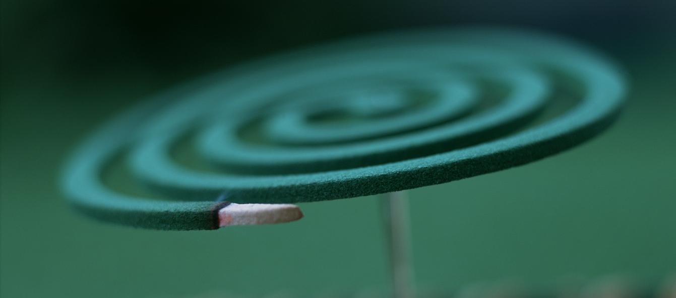 夏天蚊子多不用花露水驱蚊小妙招,夏天没有蚊香怎么驱蚊虫