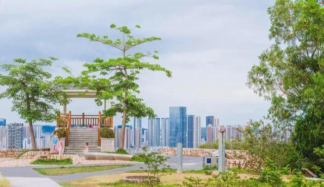 湖泊风景区推荐,深圳十大免费主题公园