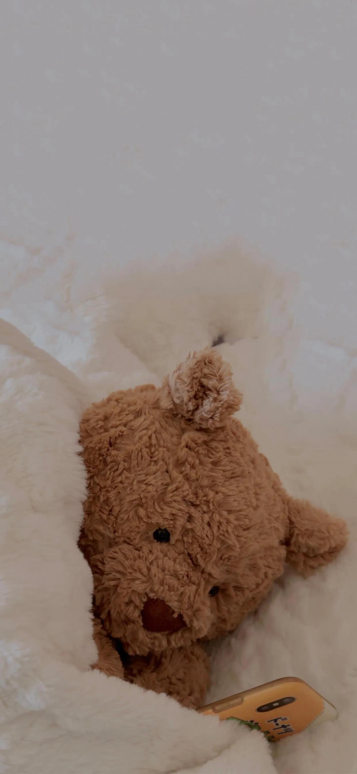 憨憨的壁纸图,关于憨憨的壁纸