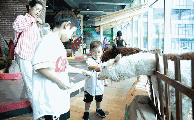 深圳暑假值得带孩子旅游的地方,深圳十大暑假室内必去景点