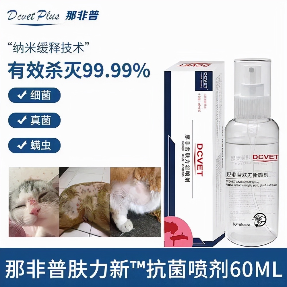 猫狗常用药品大全,猫狗必备药