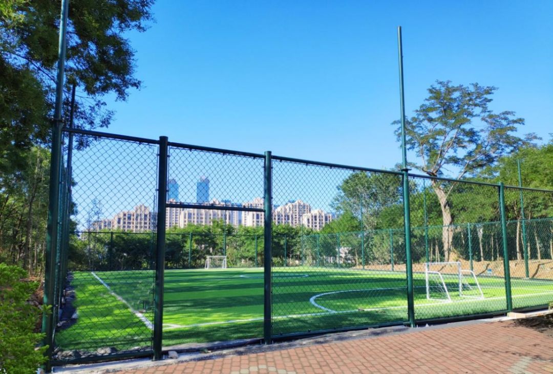 大连梭鱼湾足球场最新消息,大连足球场有几个