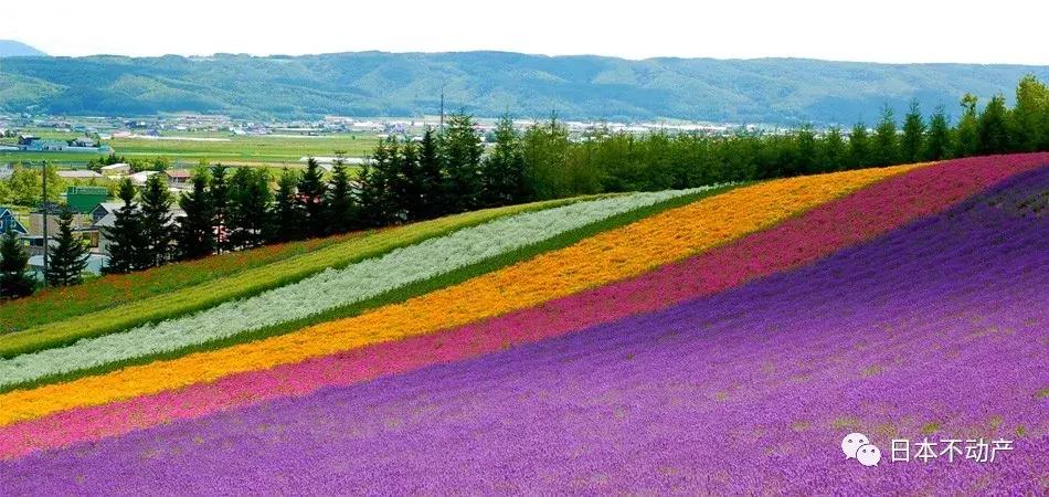 airbnb姘戝澶у叏,搴﹀亣灞嬫皯瀹夸綋楠屽拰鏀荤暐airbnb