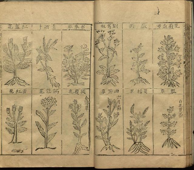 李时珍与本草纲目ppt课件,神农本草经正版李时珍书籍