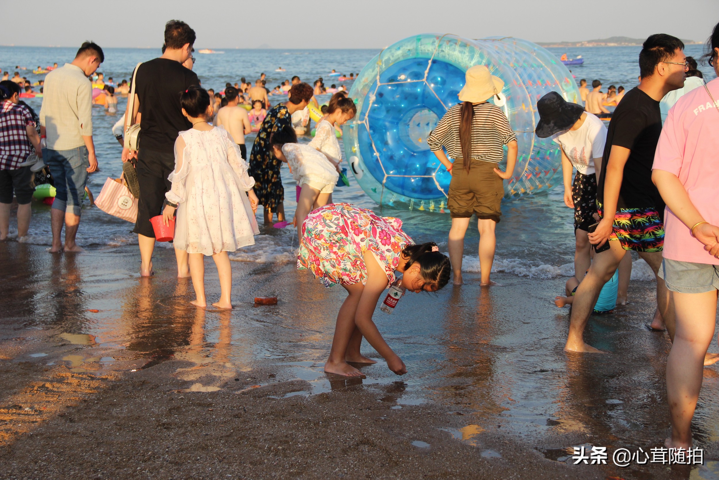 青岛市的金沙滩,金沙滩海边生活