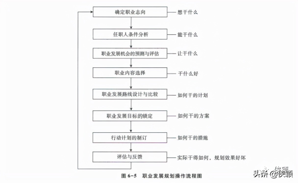 职业认知与职业发展规划,未来的职业发展方向及职业目标