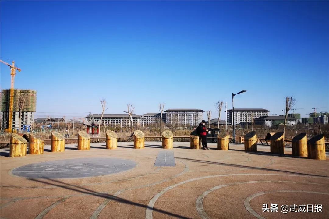 嘘！听说武威有棵树，四个人都抱不住