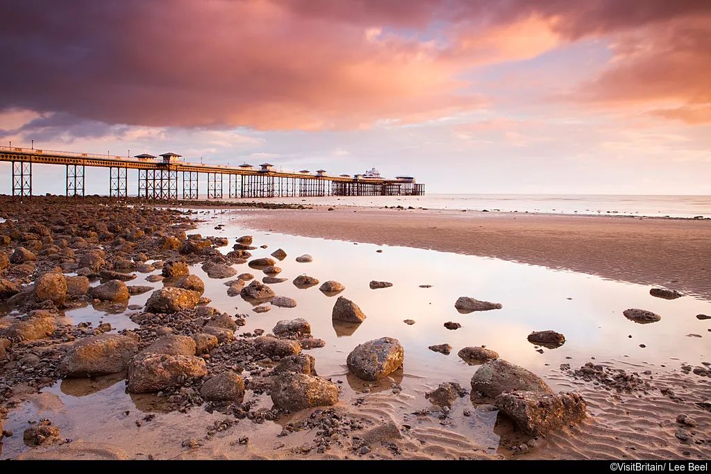 又a又飒的品牌,又a又飒的歌曲英文