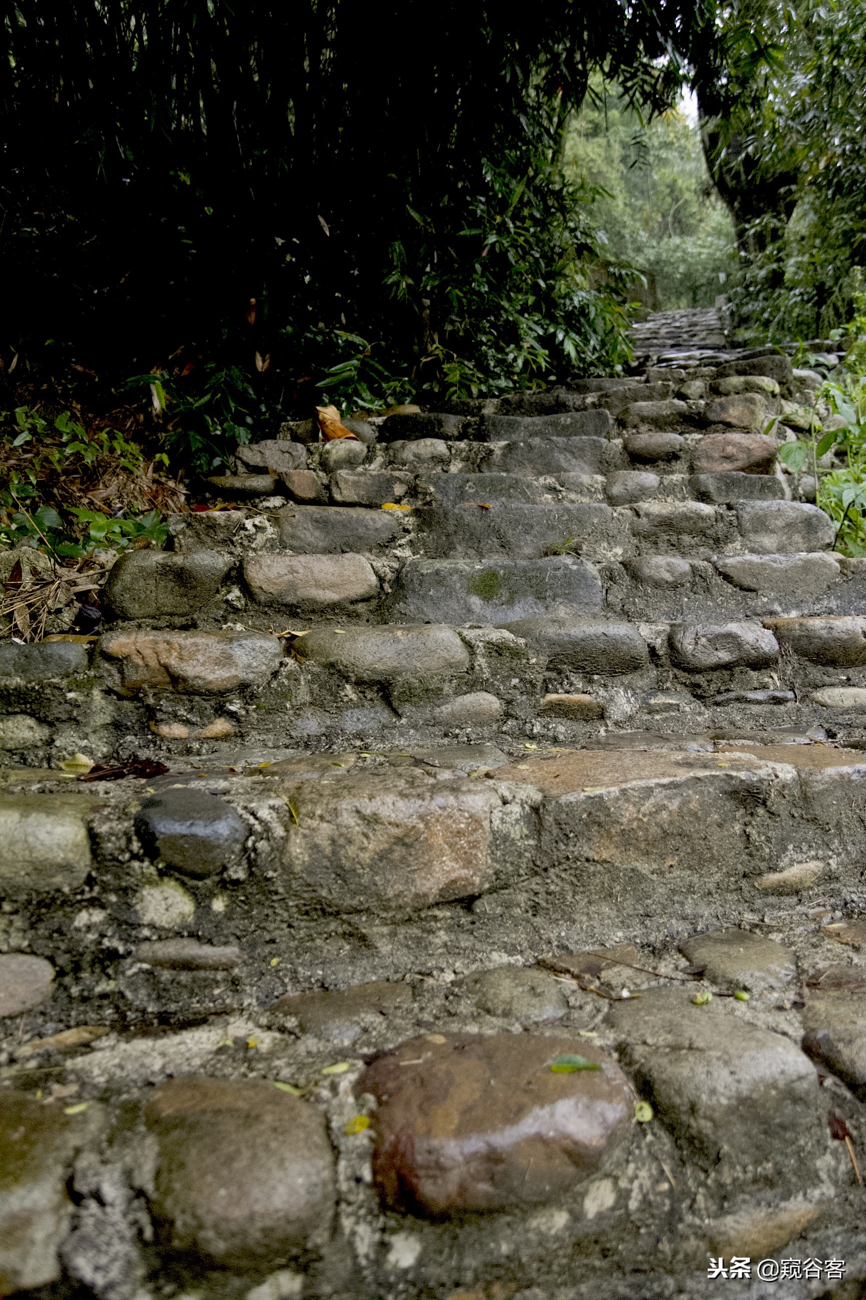 不可错过的英文歌,不可错过的云水谣