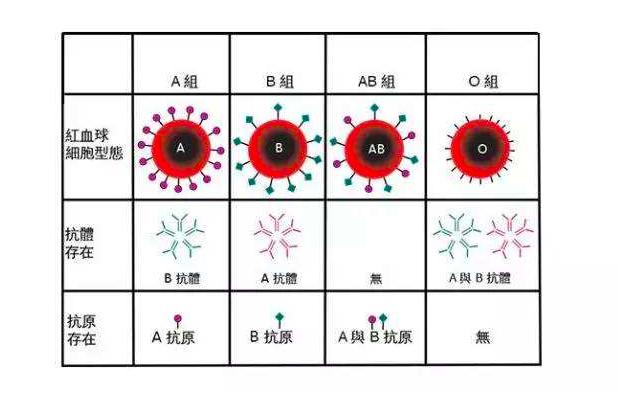 最罕见的血型在江苏被发现,江苏出现罕见血型