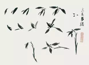 兰花的画法国画,兰花的画法步骤动画