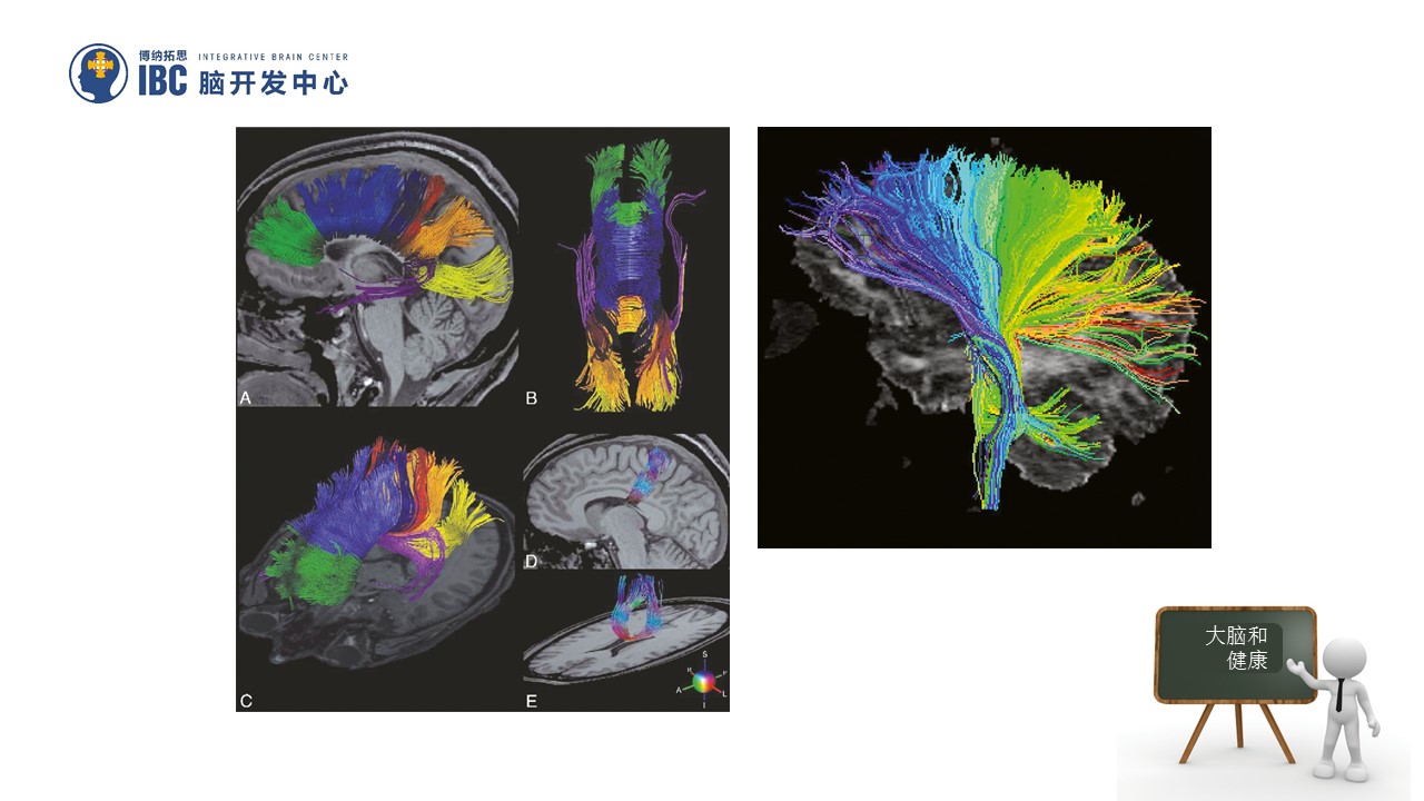 广州老年友好公寓,广州老人友好公寓护理院地址