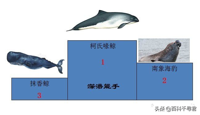 关于动物的10个伪事实你信了吗,关于动物的谣言许多人却深信不疑